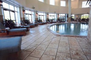 Sundek of Tidewater - Hospitality - Hotel and Motel - 12