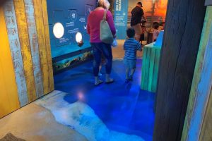 Sundek of Tidewater - Parks, Clubs & Municipalities - 22